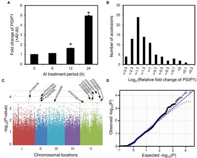 Expression GWAS of PGIP1 Identifies STOP1-Dependent and STOP1-Independent Regulation of PGIP1 in Aluminum Stress Signaling in Arabidopsis